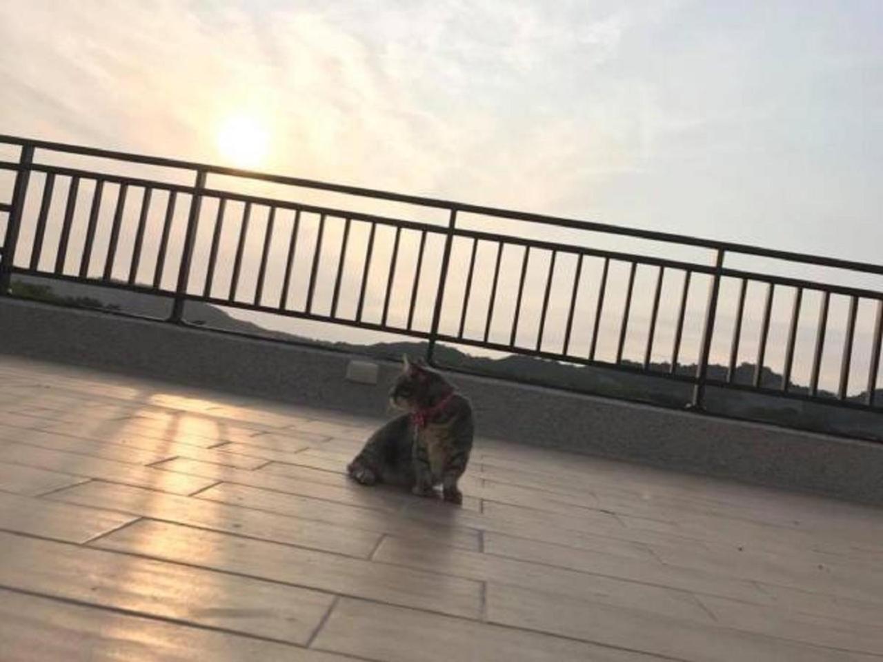 Sunny Sky Homestay Yujing Экстерьер фото